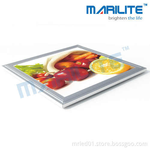 Advertising Led Light Box